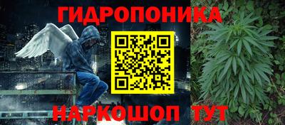 МДПВ Краснознаменск