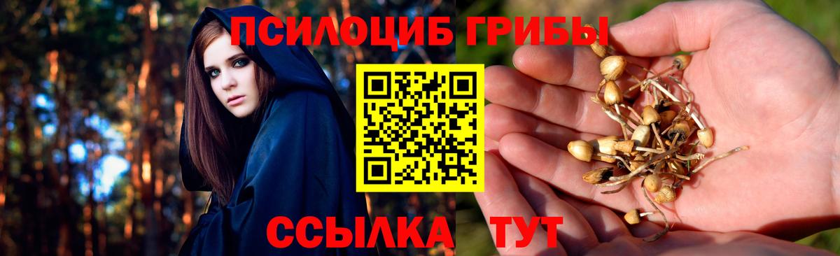 Галлюциногенные грибы GOLDEN TEACHER Кинель